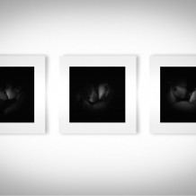 Agosto - Kōan - 70x70cm su tamburato 95x95cm - stampa giclée su carta Hahnemuhle